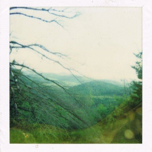 JAGGED LEAVES Nightmare Afternoon (Cassette)