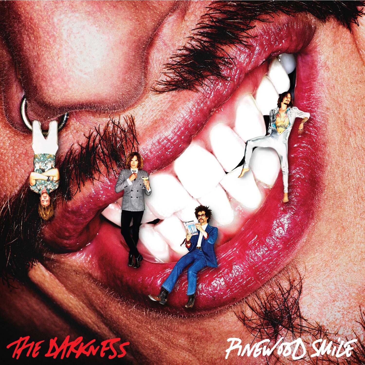 [1xCD] DARKNESS, THE - PINEWOOD SMILE |Nuovo|