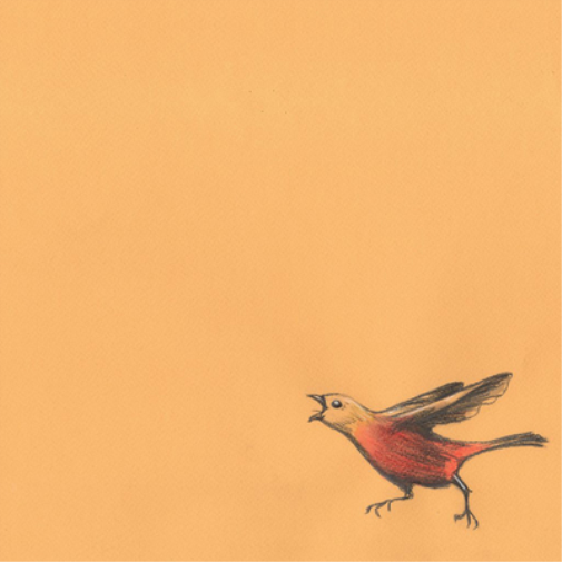 Noisepicker Peace Off (Vinyl LP) 12" Album with CD