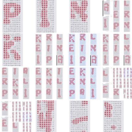 Ariel Pink Sit N' Spin (Vinyl LP) 12" Album