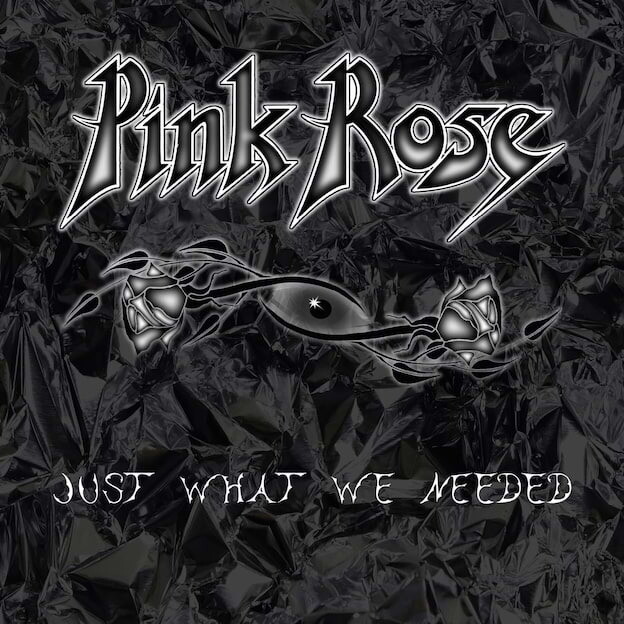 Pink Rose Just What We Needed (CD) Album