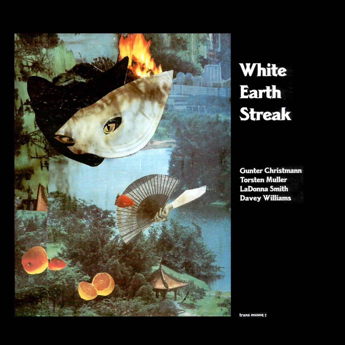 Günter Christmann White Earth Streak (CD)