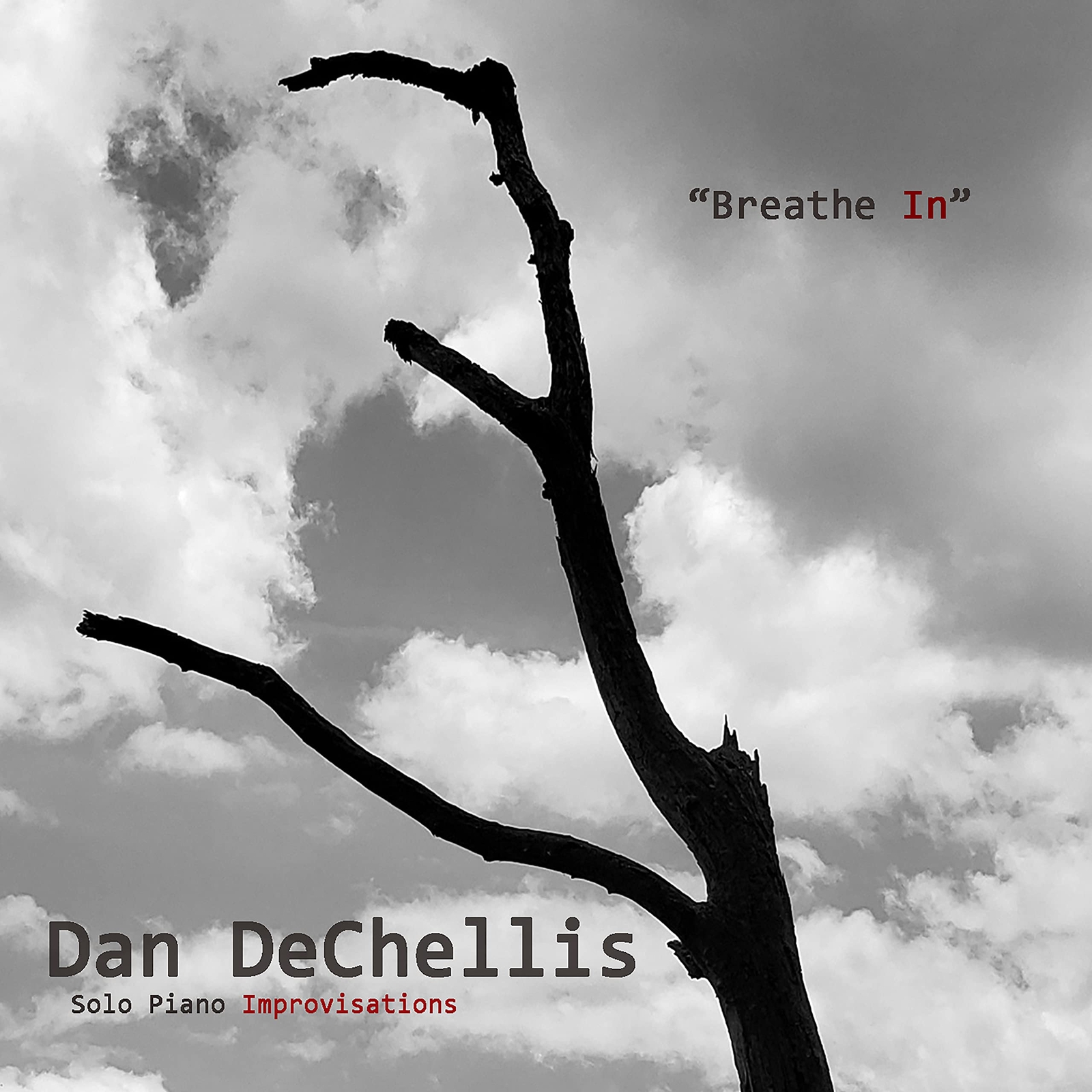 Dan DeChellis Breathe In (CD)