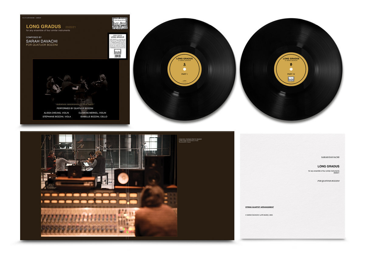 Sarah Davachi Sarah Davachi: Long Gradus (Vinyl LP) 12" Album