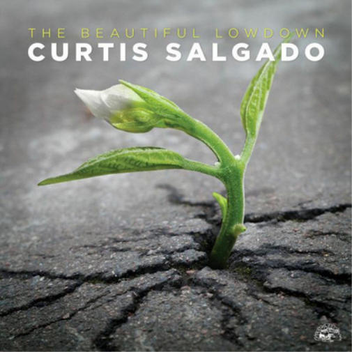 Curtis Salgado The Beautiful Lowdown (CD) Album