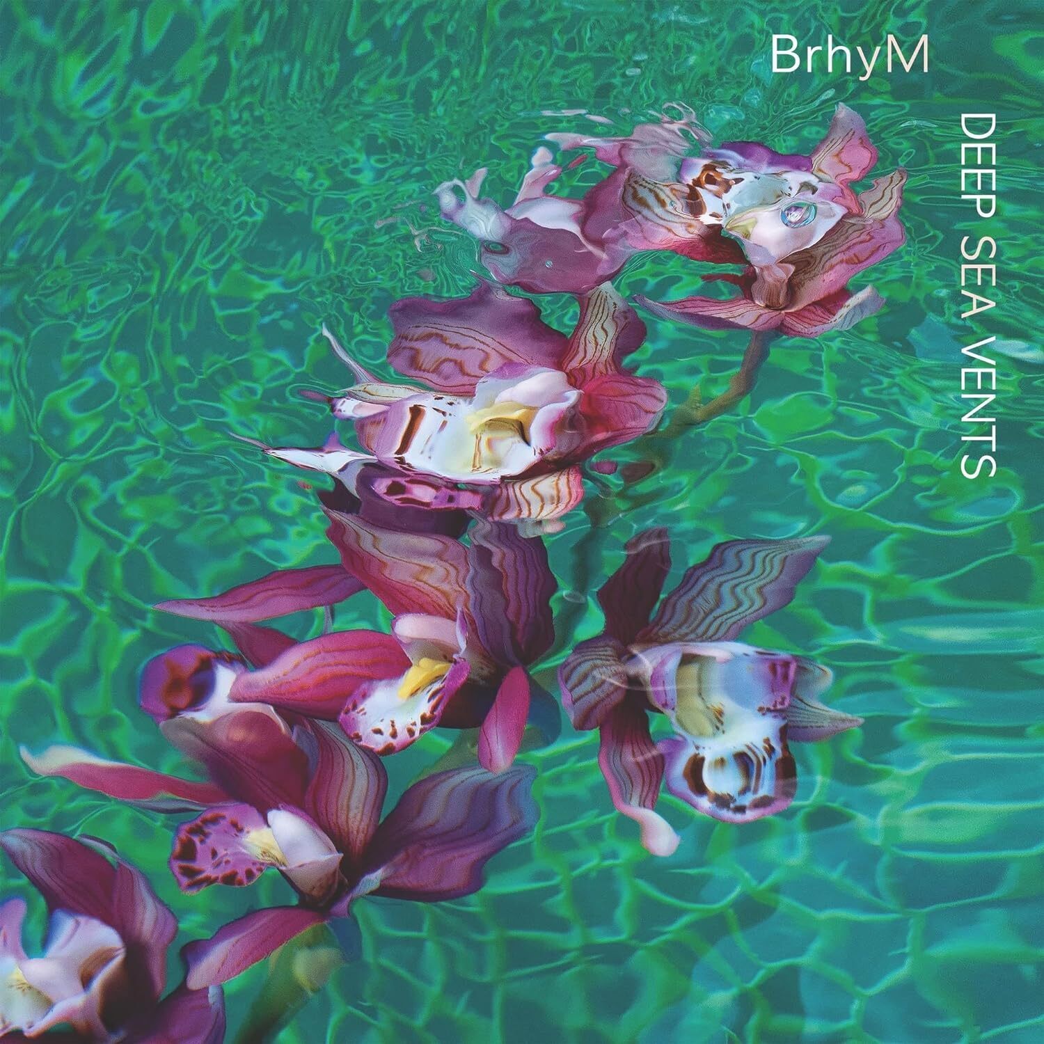 BrhyM Deep Sea Vents (Vinyl LP) 12" Album