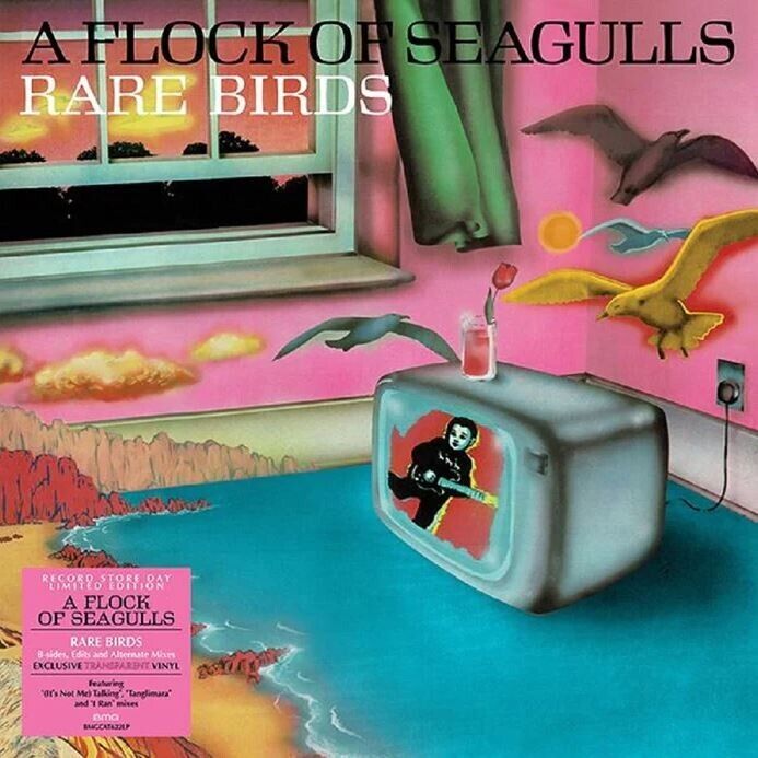 A FLOCK OF SEAGULLS - RARE BIRDS - TRANSPARENT - RSD 2023 – LP