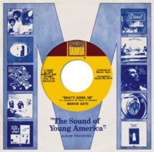 Various Artists 1971: The Sound of Young America (CD) Box Set