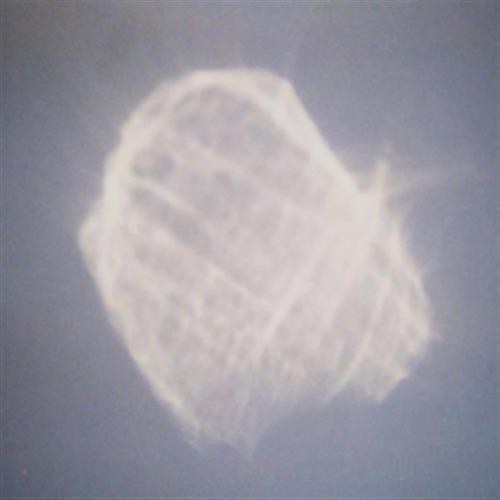 Temper - Benoit Pioulard (Audio CD)