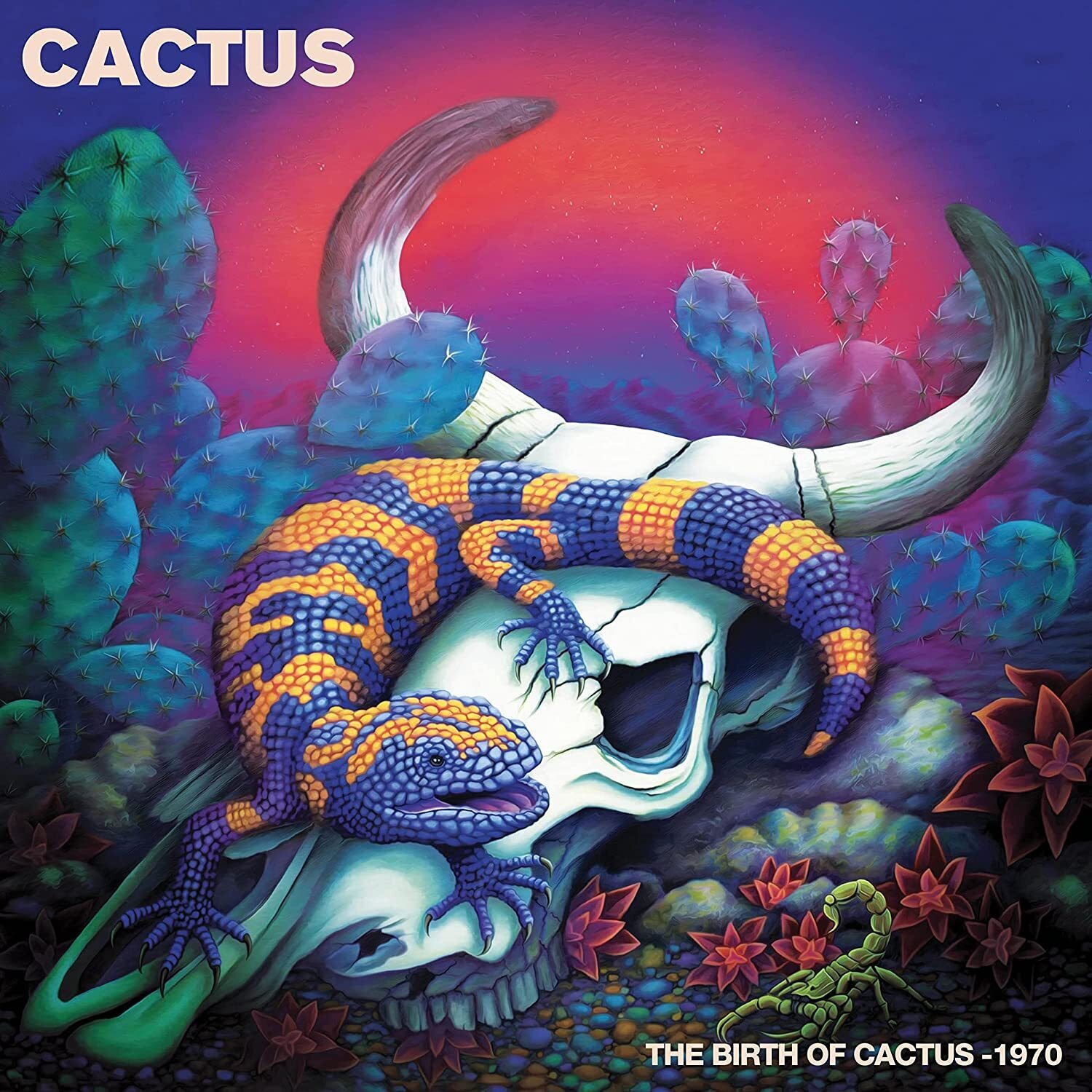 Cactus The Birth of Cactus - 1970 (Vinyl LP) 12" Album Coloured Vinyl