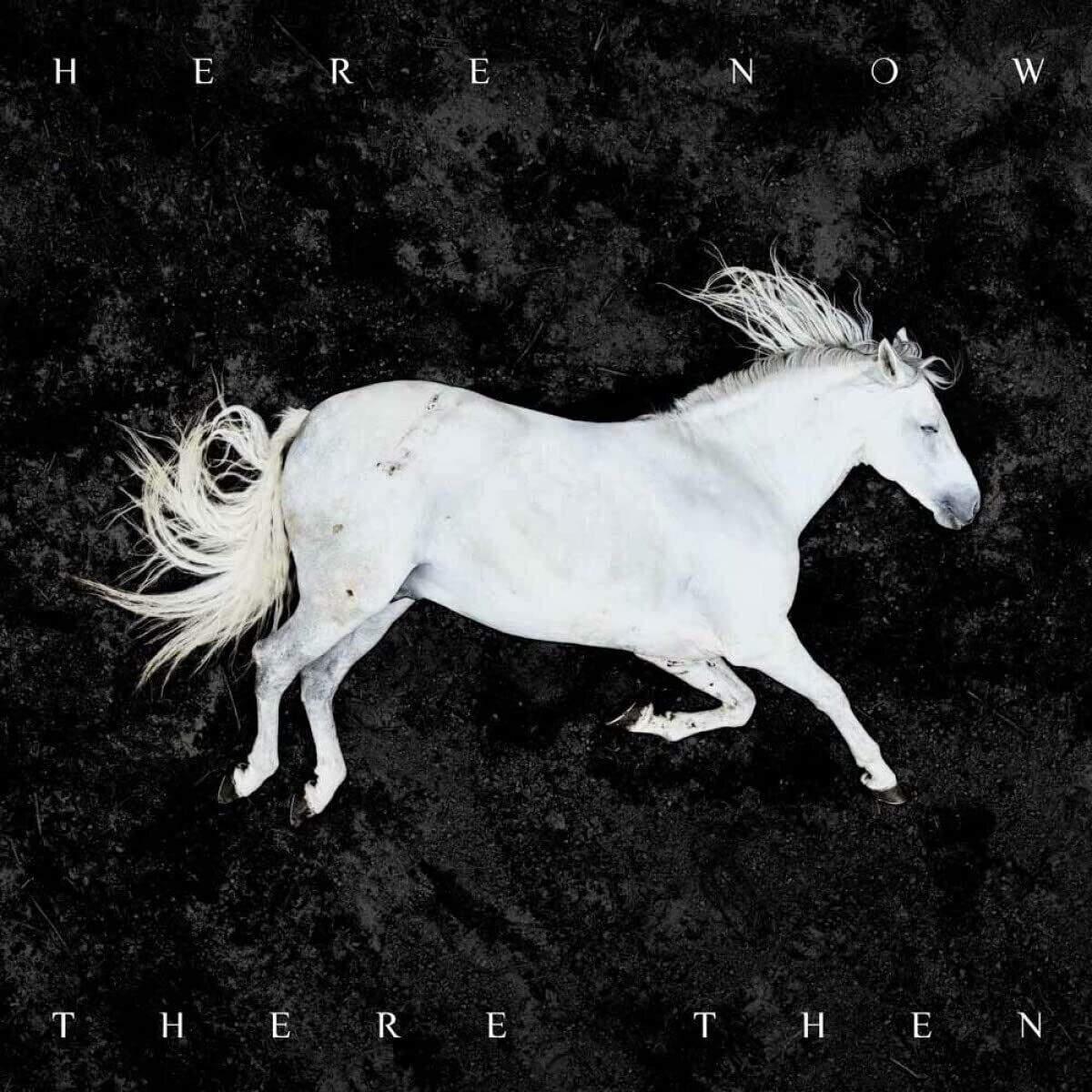 Dool Here Now,There Then (Vinyl LP)
