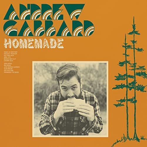 Andrew Gabbard Homemade (Vinyl LP)