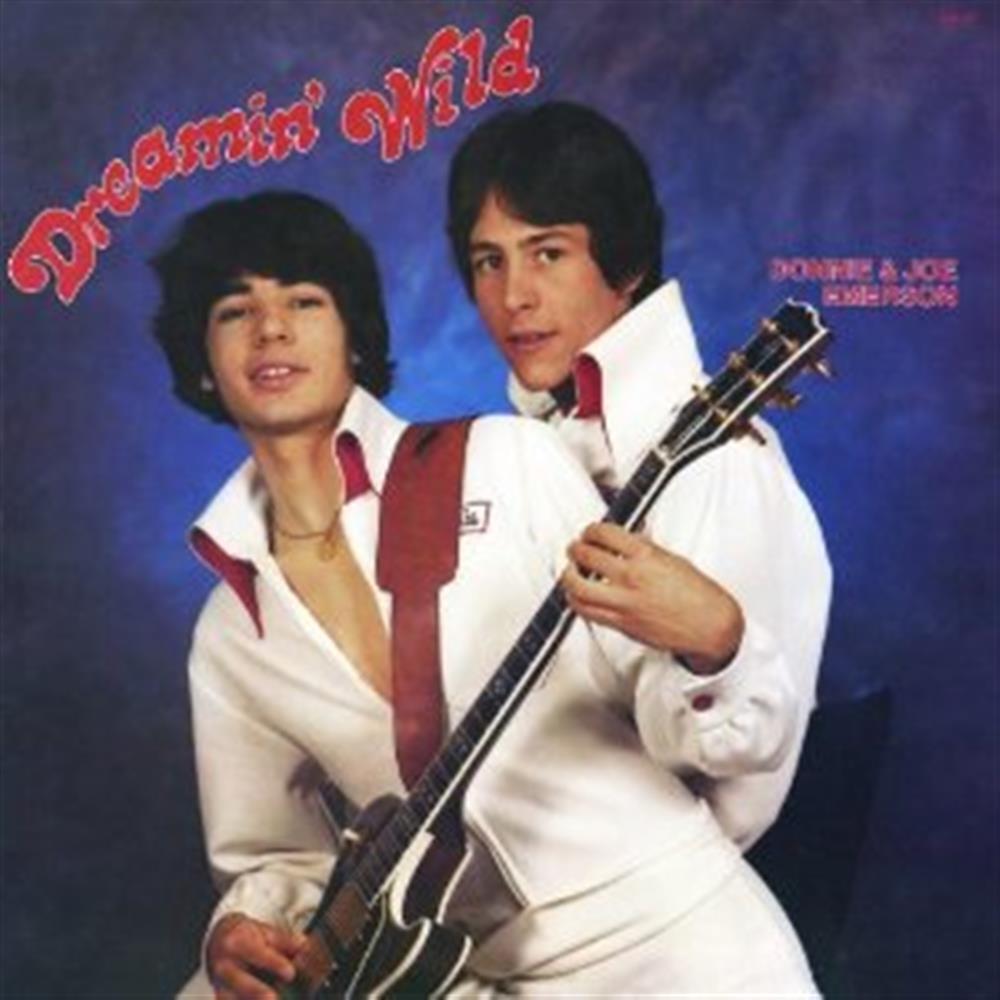 Dreamin Wild - Donnie And Joe Emerson (Vinile)