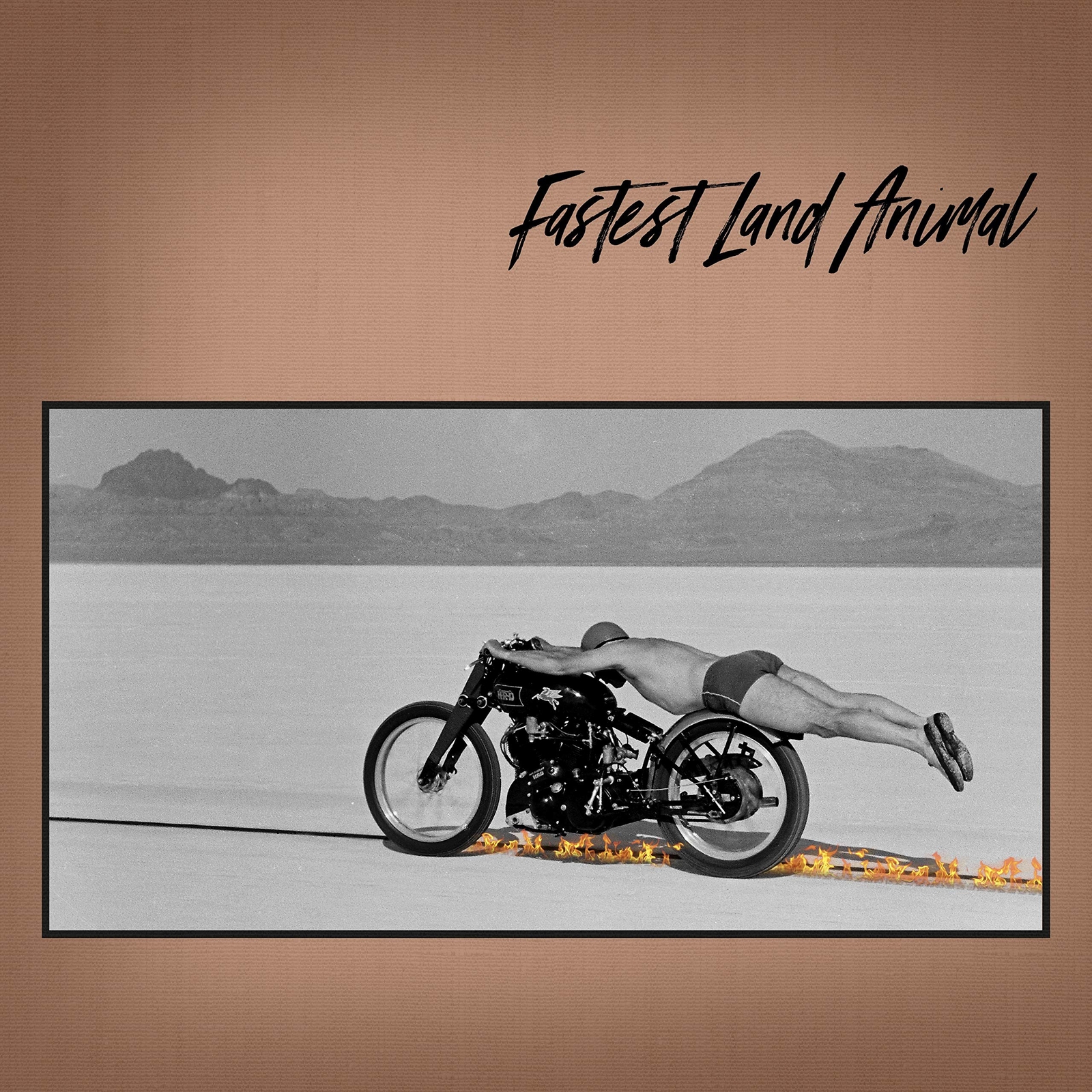 Fastest Land Animal Fastest Land Animal  Explicit Lyrics (CD)