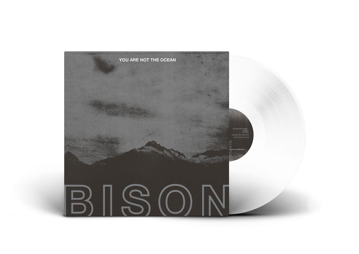 Bison You Are Not the Ocean You Are the Patient (Clear) (Vinyl LP)