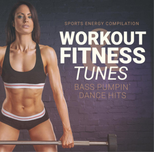 Various Artists Workout Fitness Tunes: Bass Pumpin' Hits (CD) Album