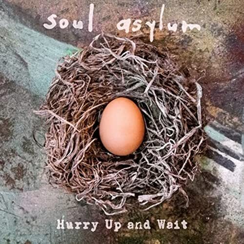 Soul Asylum Hurry Up and Wait (RSD 2020) (Vinyl LP) 12" Album with 7" Single