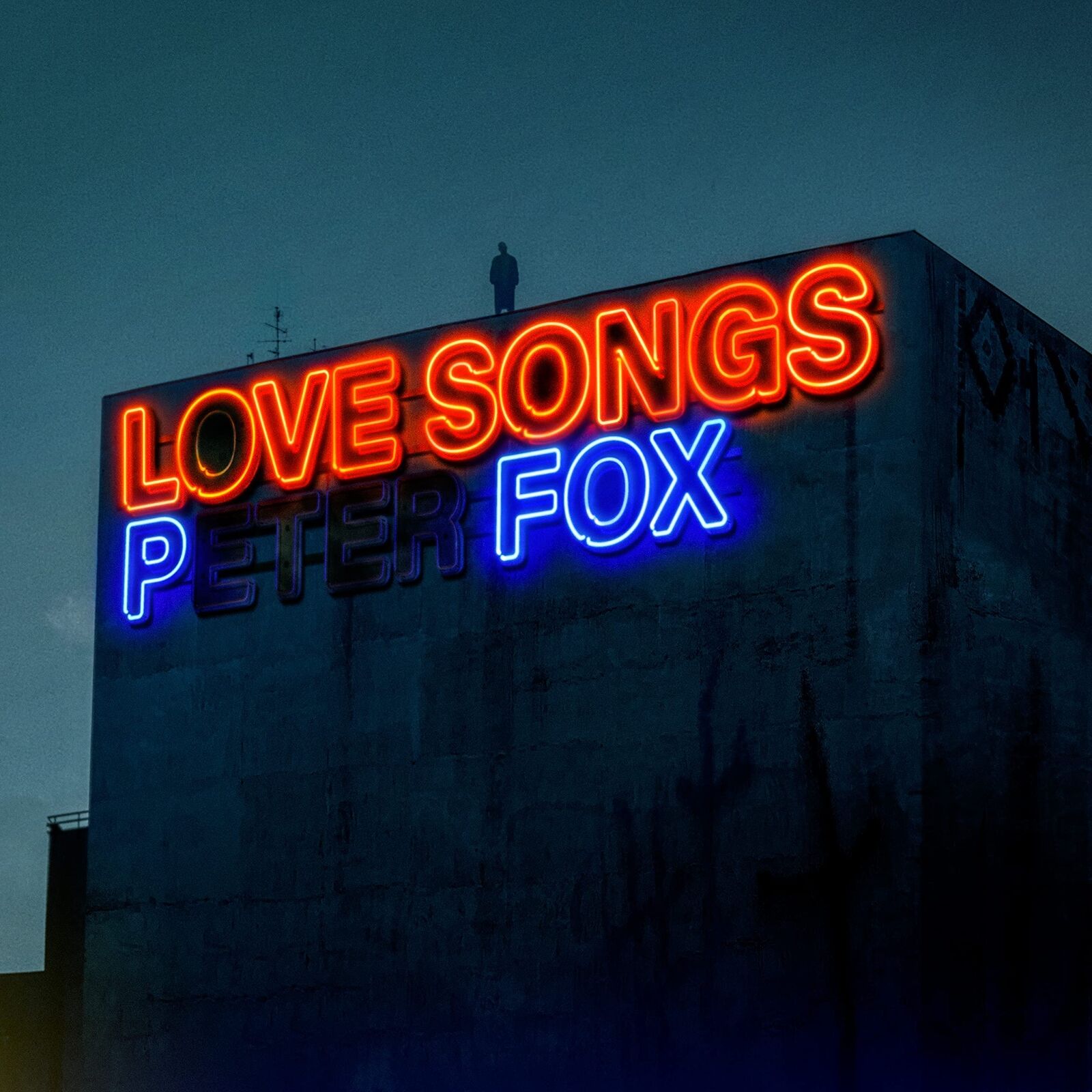 Peter Fox Love Songs (Vinyl LP)