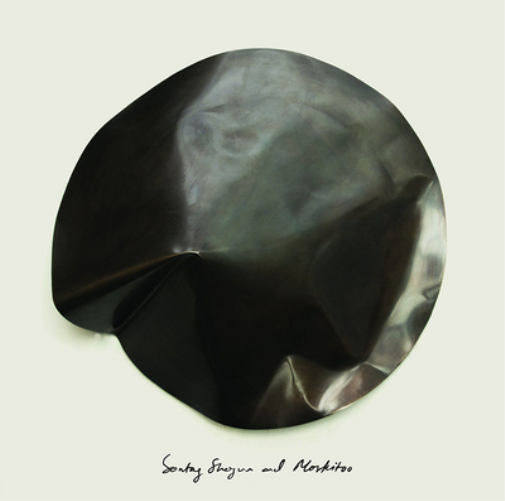 Sontag Shogun & Moskitoo The Things We Let Fall Apart/The Thunderswan (Vinyl LP)