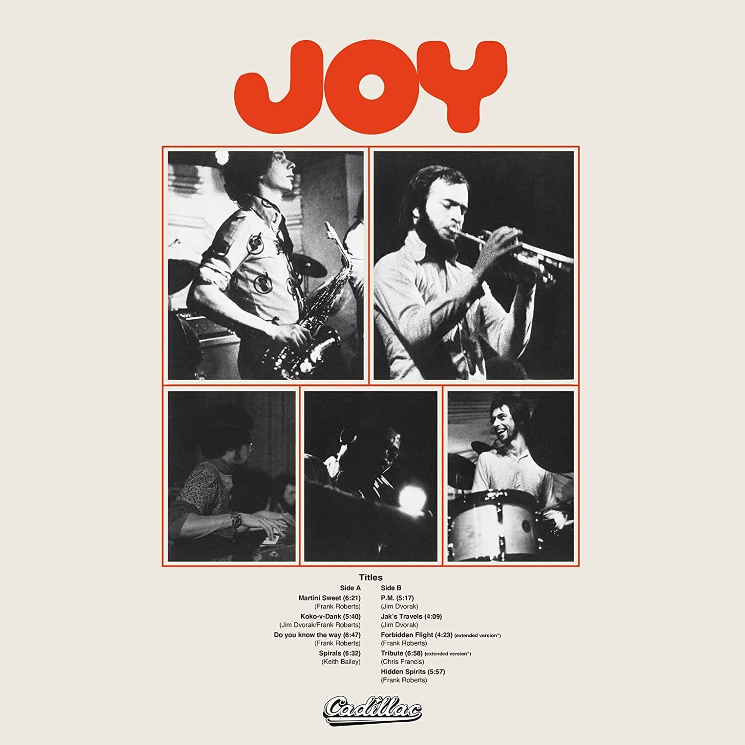 Joy Joy (Vinyl LP) 12" Album