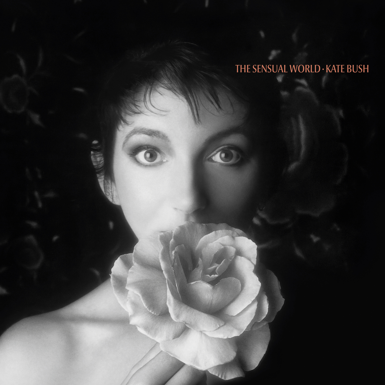 Kate Bush The Sensual World (Vinyl LP) 12" Remastered Album