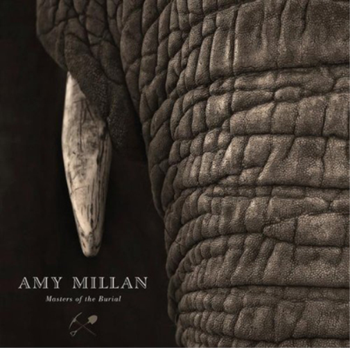 Amy Millan Masters of the Burial (Vinyl LP) 12" Album