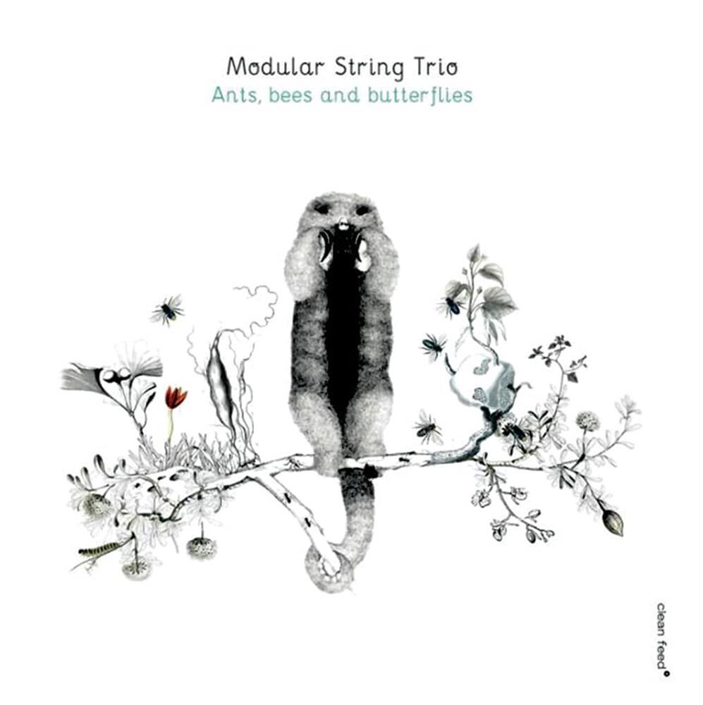 Ants Bees And Butterflies - Modular String Trio (Audio cd)