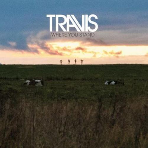 Travis Where You Stand (Vinyl LP) 12" Album