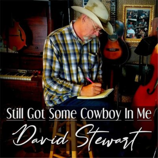 David Stewart Still Got Some Cowboy in Me (CD) Album