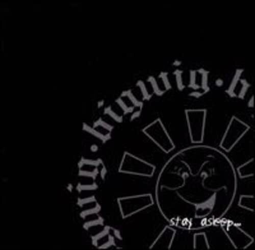 Bigwig Stay Asleep  explicit_lyrics (Vinyl LP)