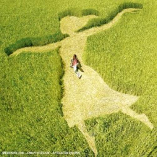 Franck Monnet Au Grand Jour (CD)