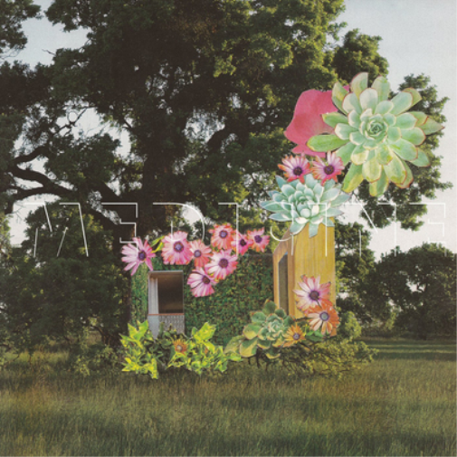 Medicine Home Everywhere (Vinyl LP) 12" Album
