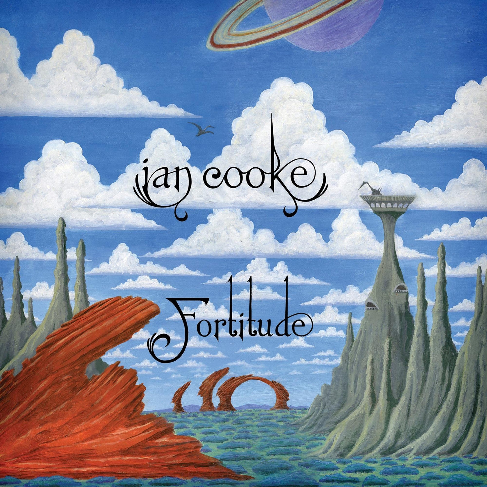 Ian Cooke Fortitude (Vinyl LP)
