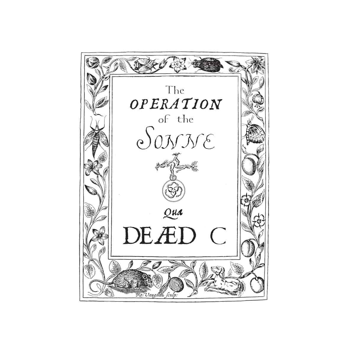 The Dead C Operation of the Sonne (Vinyl LP) 12" Album