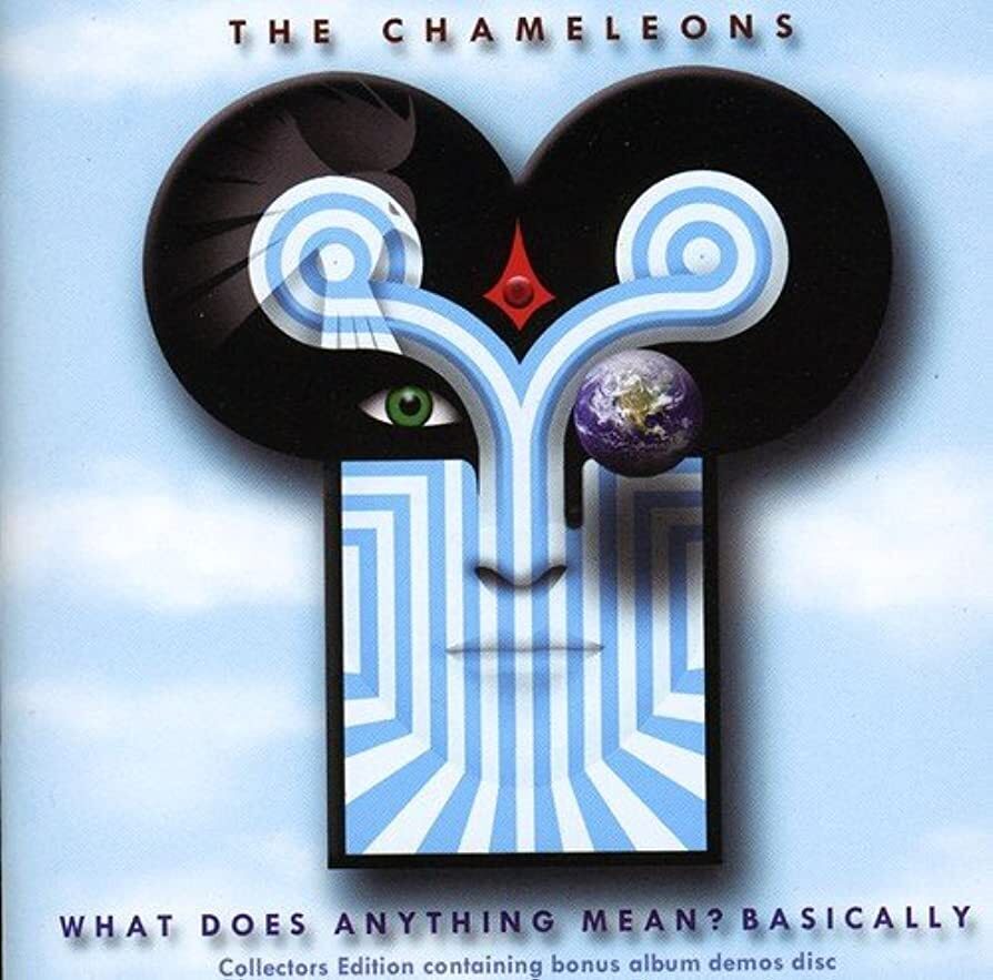 The Chameleons What Does Anything Mean? Basically (CD) Collector's  Album