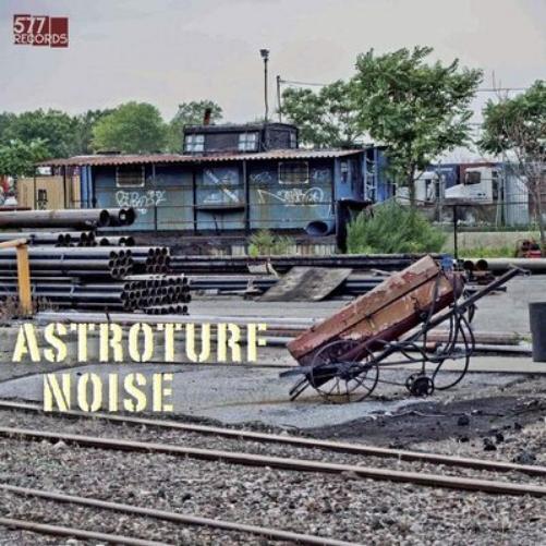 Astroturf Noise Astroturf Noise (Vinyl LP) 12" Album