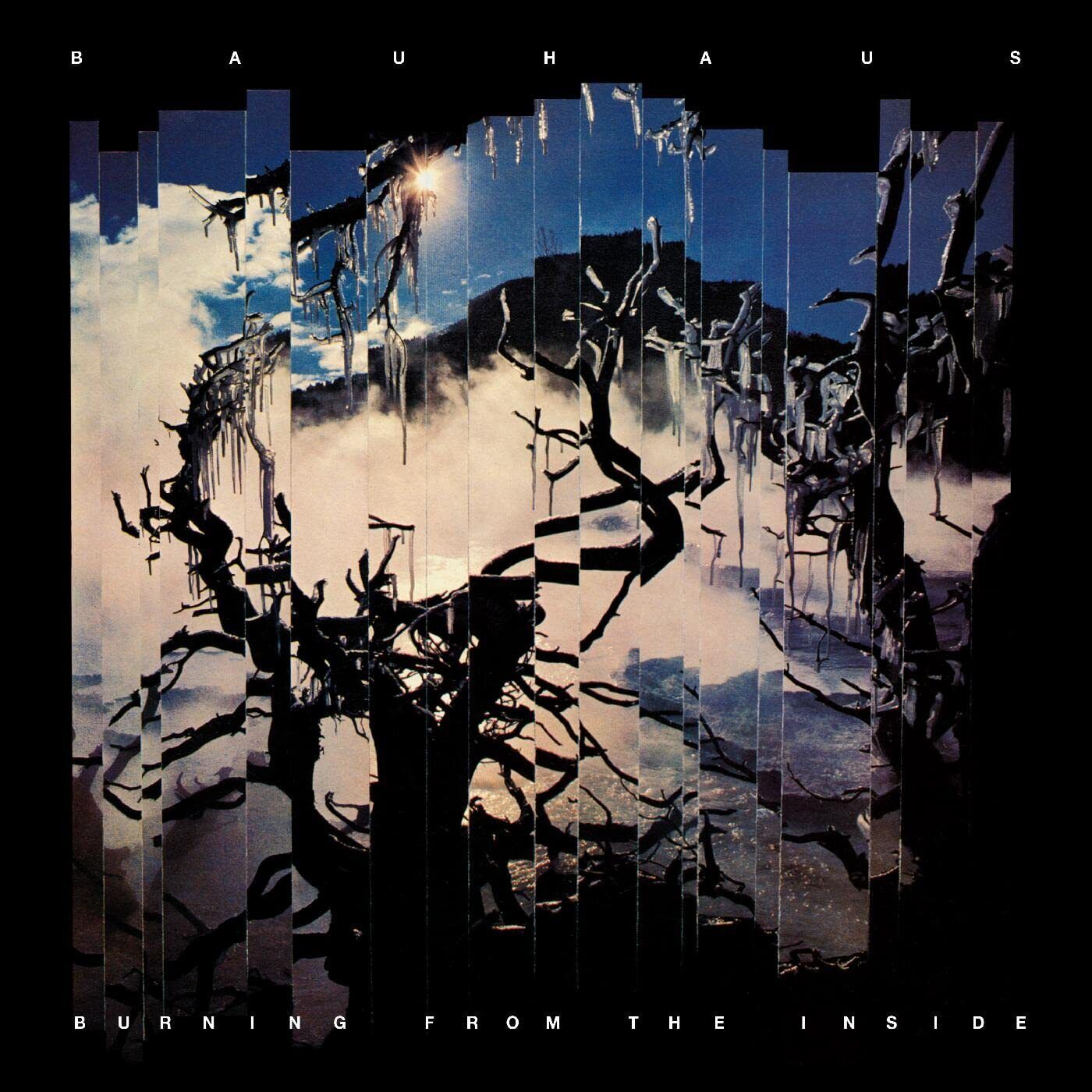 Bauhaus Burning From The Inside (Vinyl LP)