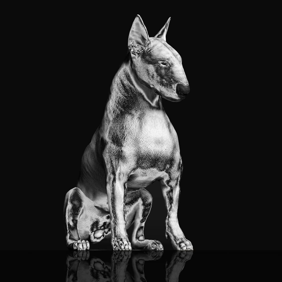 Riskee & The Ridicule Platinum Statue (Vinyl LP) 12" Album
