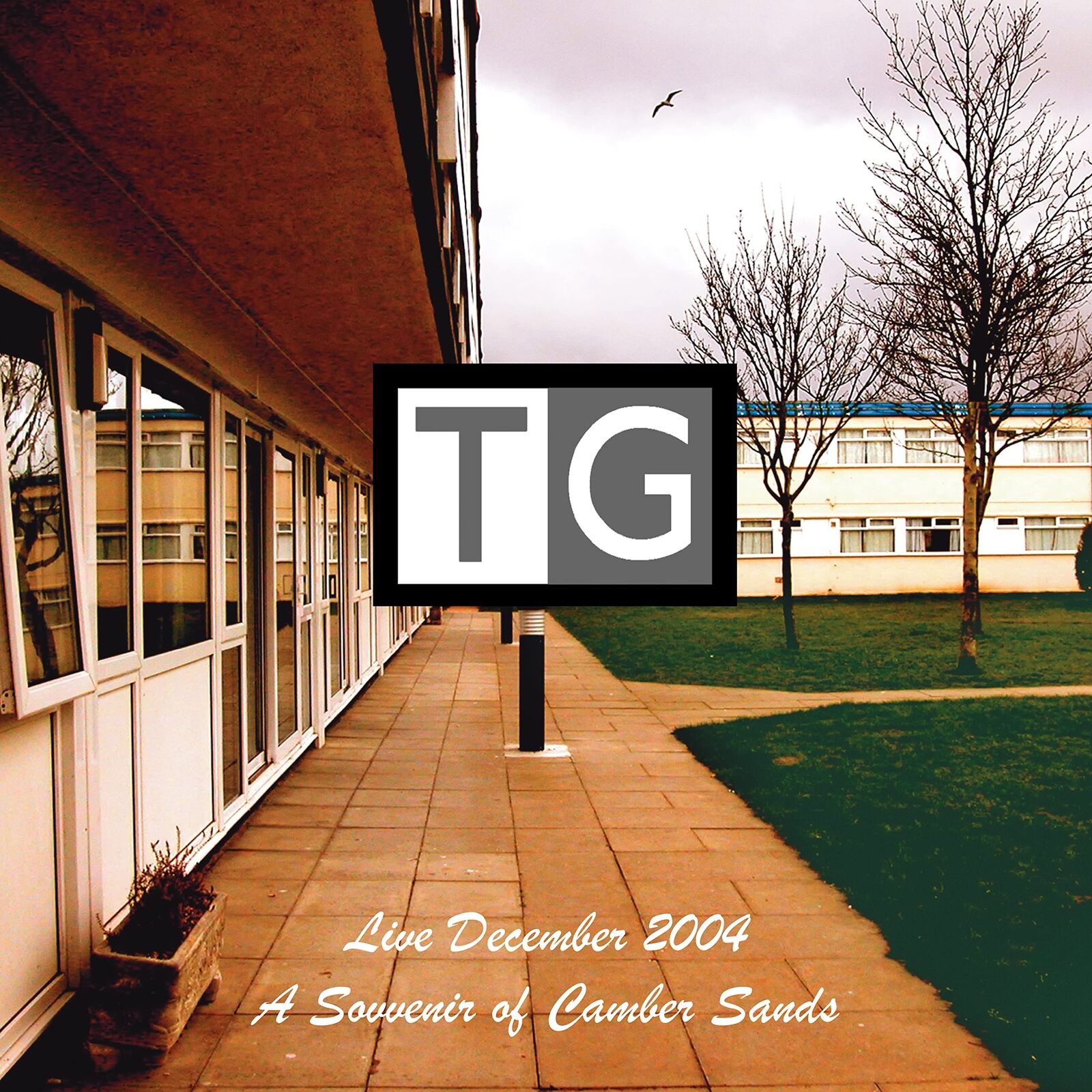 Throbbing Gristle A Souvenir Of Camber Sands (Vinyl LP)