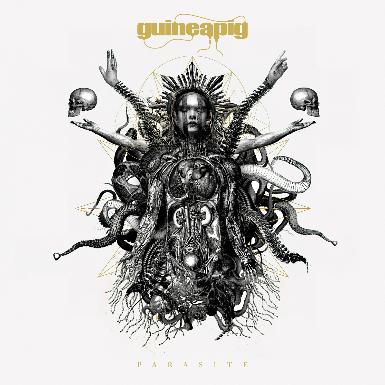 Guineapig Parasite (CD) Album