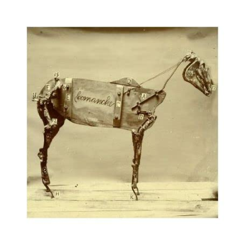 Chadwick Stokes Horse Comanche (CD)