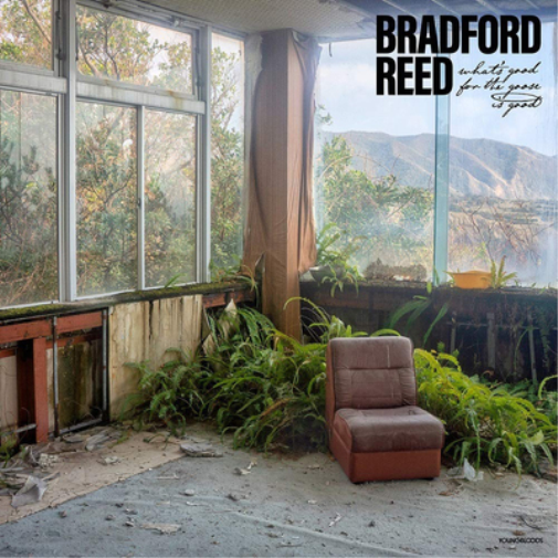 Bradford Reed What's Good for the Goose Is Good (Vinyl LP) 12" Album