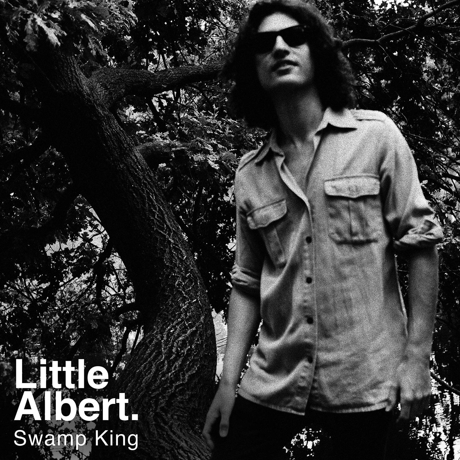 Little Albert Swamp King (Vinyl LP)