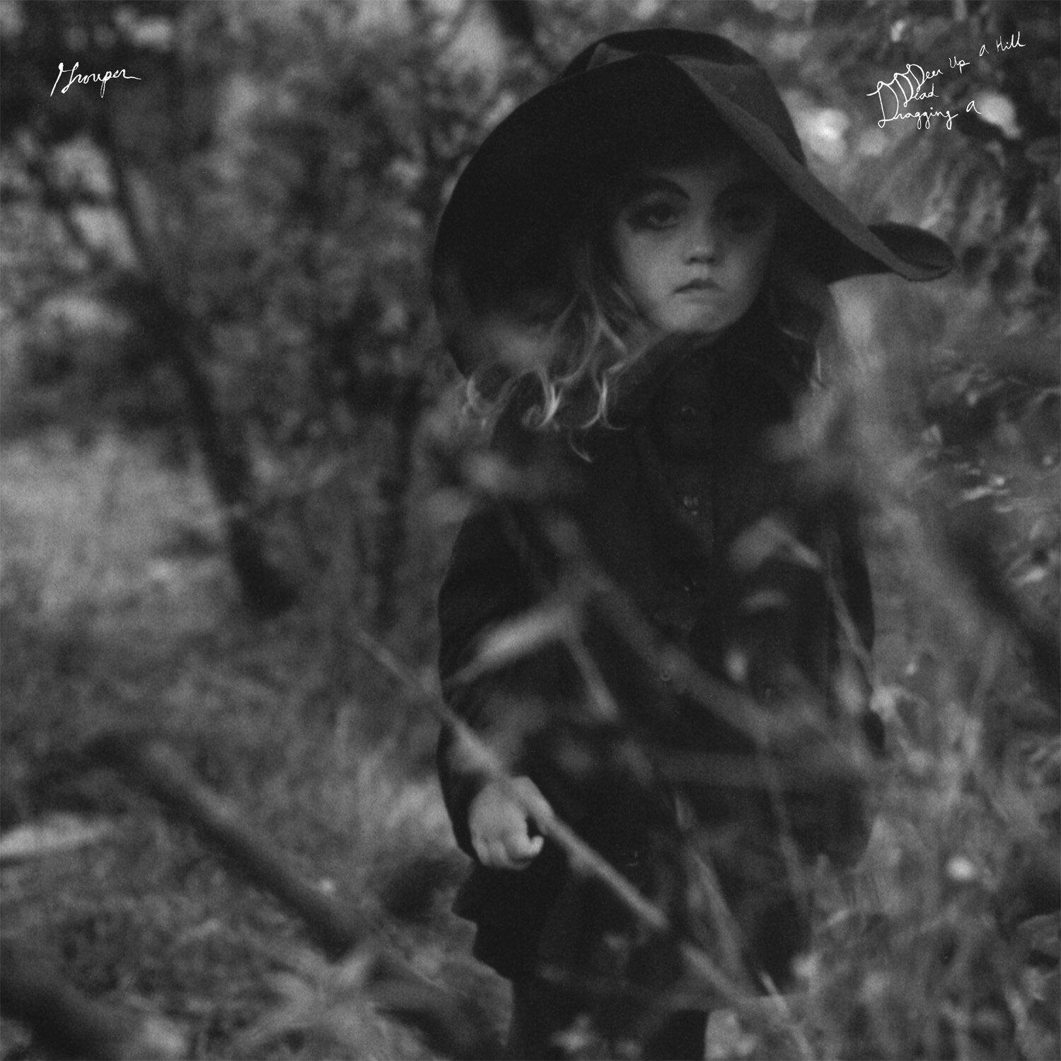 Grouper Dragging a Dead Deer Up a Hill (CD) Album