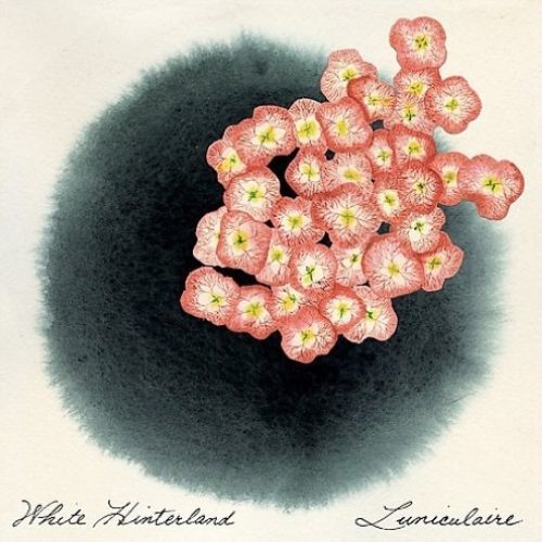 White Hinterland Luniculaire (CD) Album