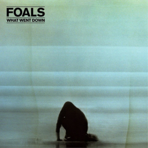 Foals What Went Down (Vinyl LP) 12" Album