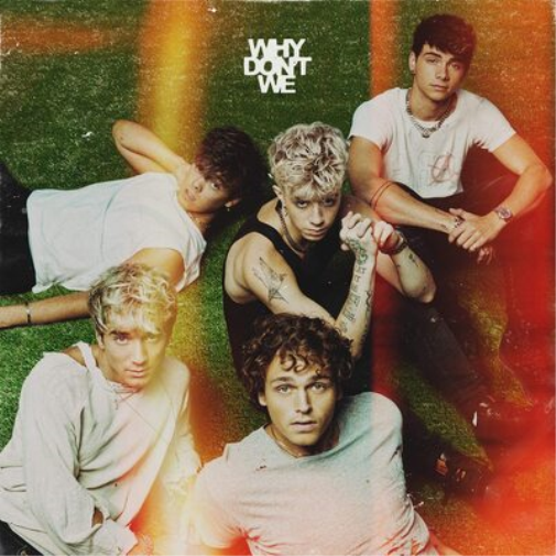 Why Don't We The Good Times and the Bad Ones (Vinyl LP) 12" Album