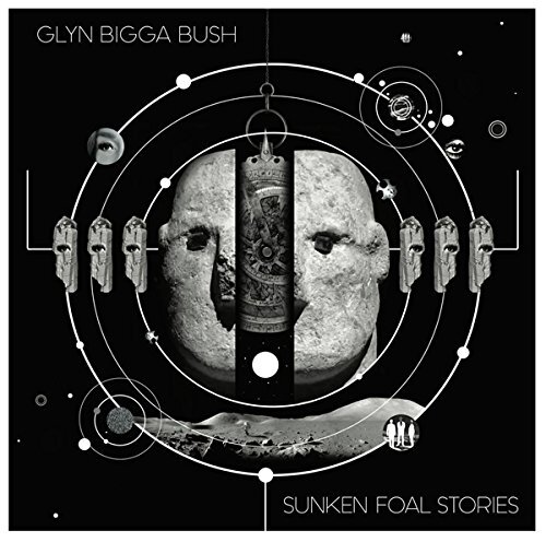 Bush,Glyn Bigga Sunken Foal Stories (Vinyl LP)