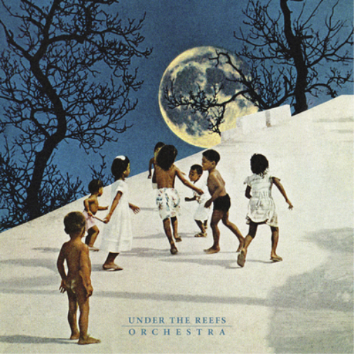 Under the Reefs Orchestra Under the Reefs Orchestra (Vinyl LP) 12" Album