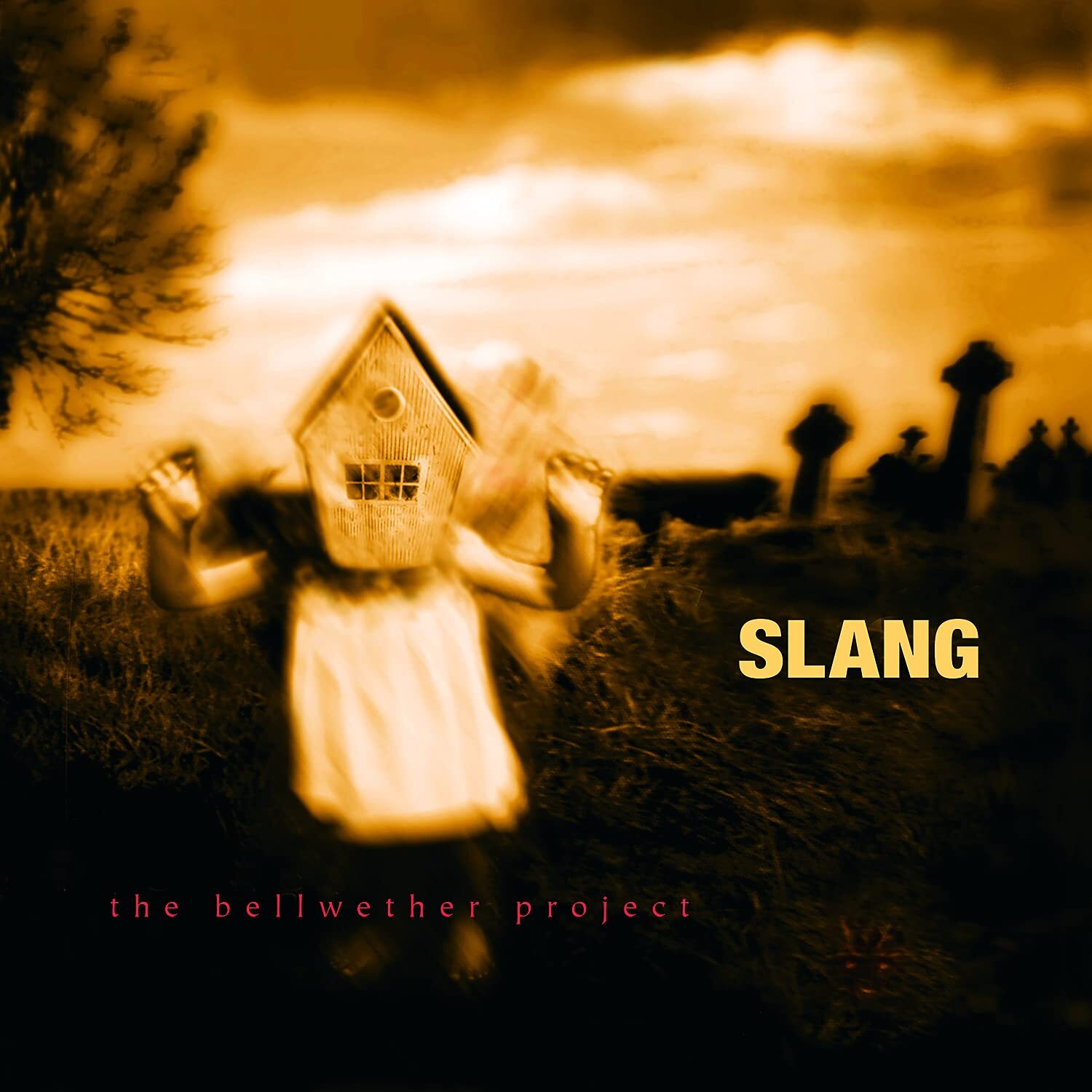 Slang Bellwether Project (Vinyl LP)